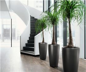 辦公家具